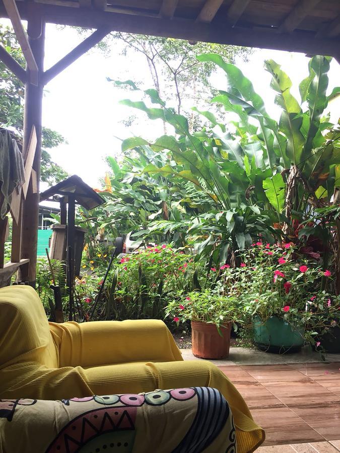 Wood House Hostel La Fortuna Exteriér fotografie