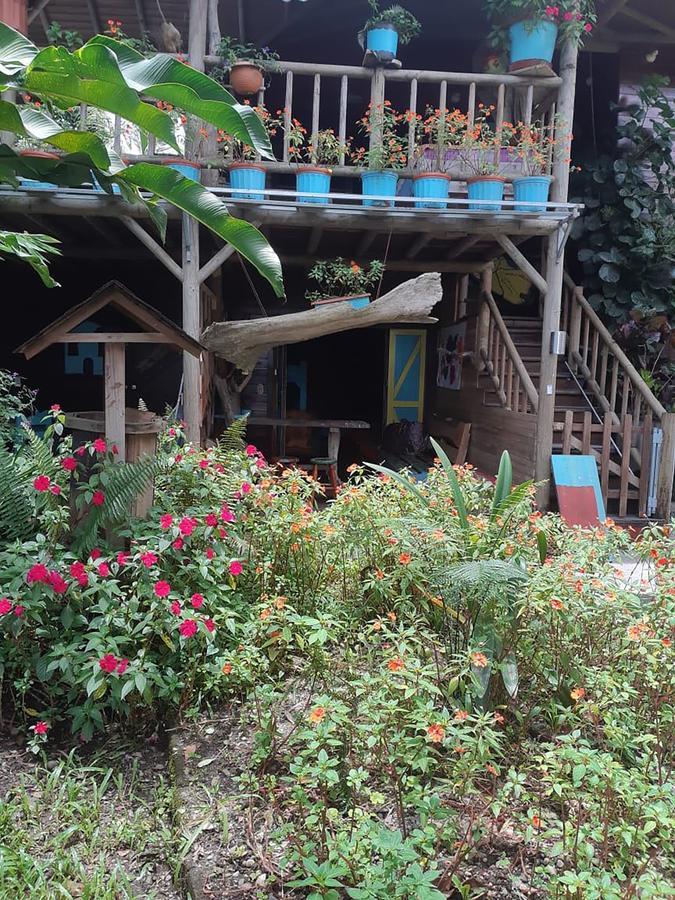Wood House Hostel La Fortuna Exteriér fotografie